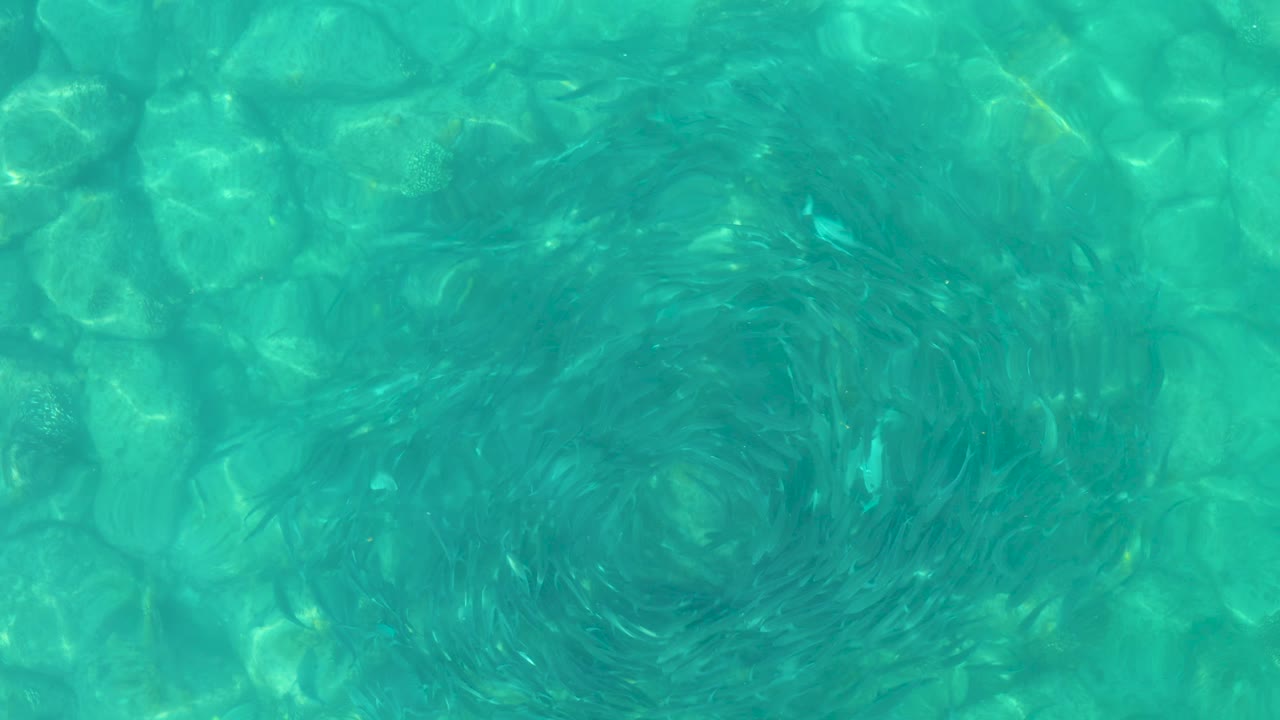 Turquoise pool water with ripples over a stone-patterned bottom.
