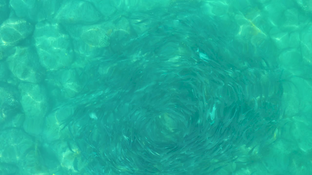 Clear turquoise water in Los Frailes Los Cabos shows a darker ripple swirl near the center over the submerged pool bottom, with no visible people.