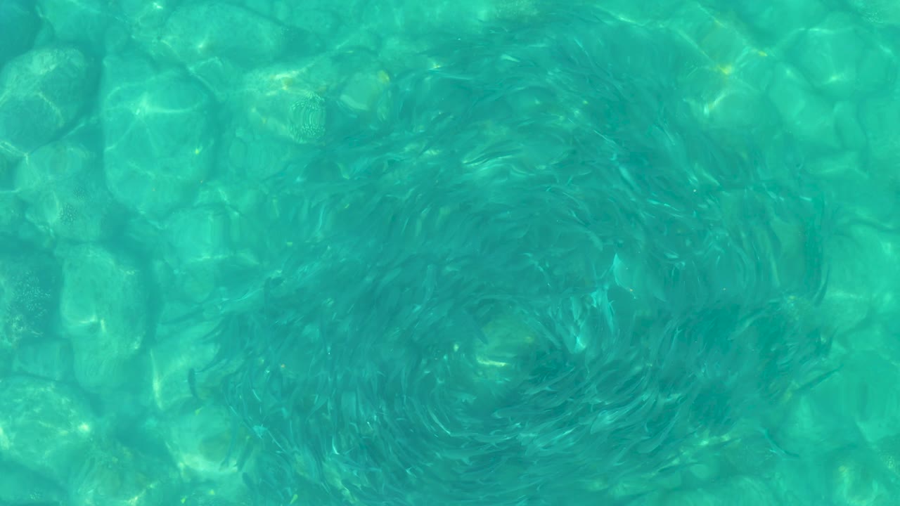 Overhead turquoise pool water from Los Frailes Los Cabos shows layered ripples and bright light patches crossing the submerged pattern, with no visible people.