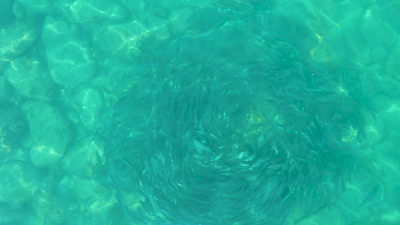 Top-down Los Frailes Los Cabos pool-water detail with softer turquoise ripples spreading over the underwater stone or tile pattern, and no visible people.