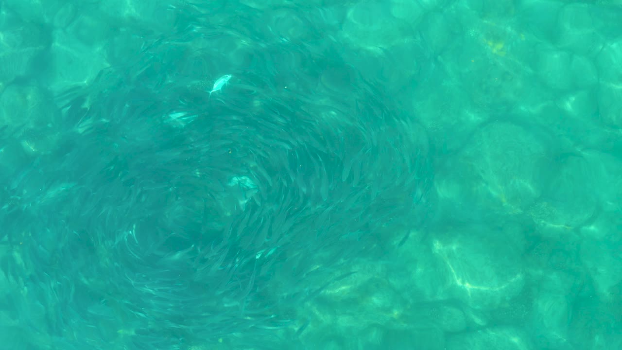 Overhead view of clear turquoise water in Los Frailes, Baja California Sur, with a circular ripple pattern over submerged rocks and no visible people.