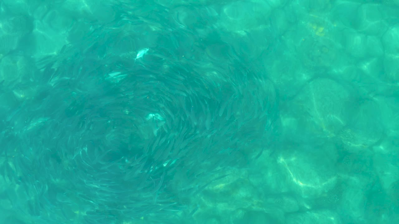 Clear turquoise water with widening ripples and pebbled bottom