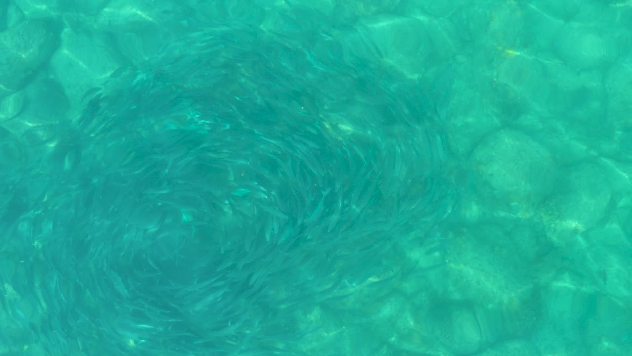 Bright turquoise water in Los Frailes fills the frame, with circular ripples moving over submerged stones and no visible people.