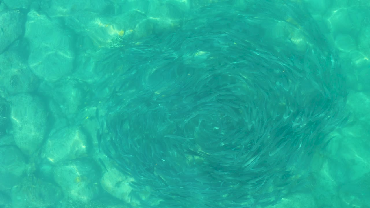 Turquoise water with a circular dark swirl over visible rocks.