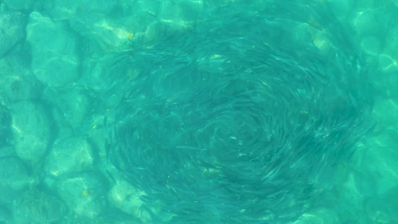 Clear blue green water in Los Frailes, Los Cabos shows the circular swirl spreading across the upper center, with submerged rocks visible and no visible people.