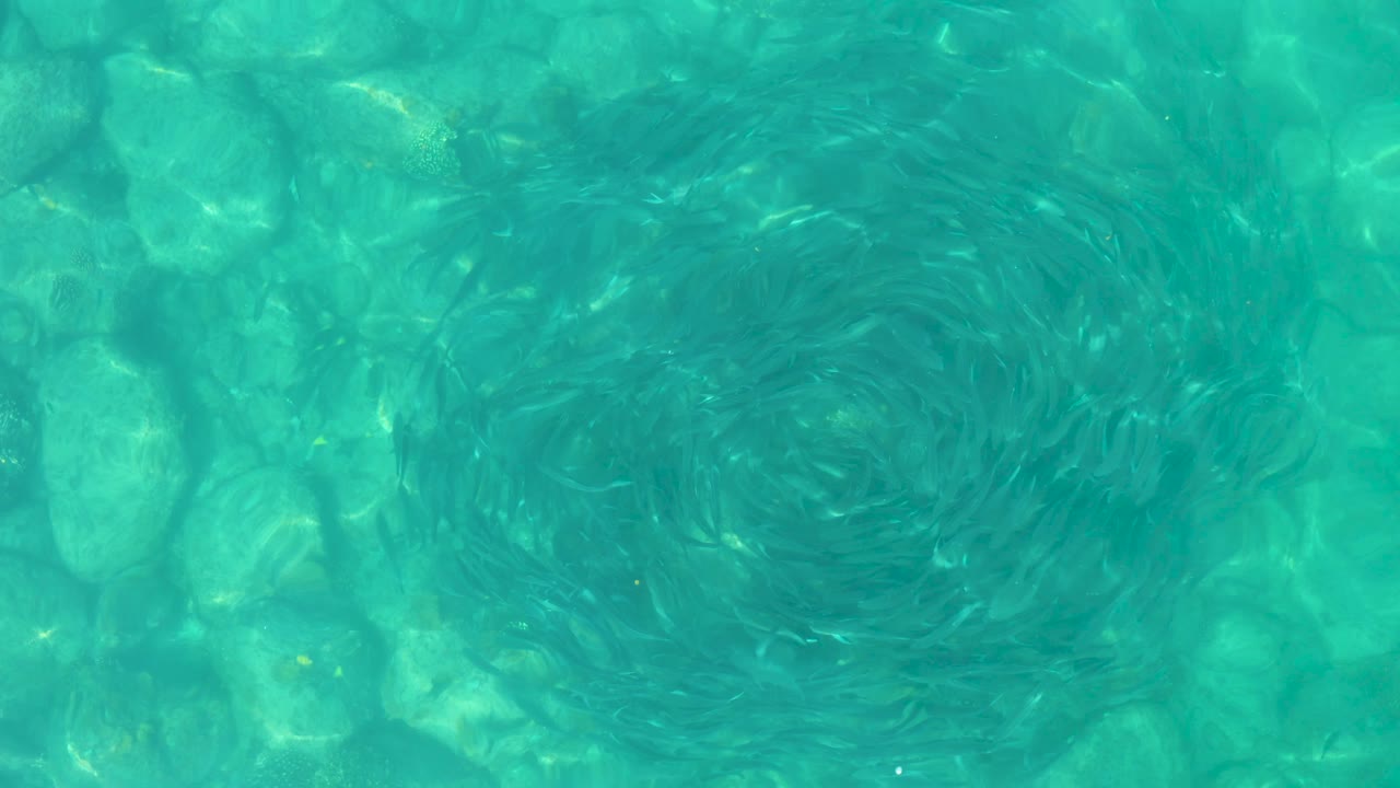 A darker vortex ring sits in the upper right of the Los Frailes water frame, with transparent turquoise shallows revealing rocks below and no visible people.