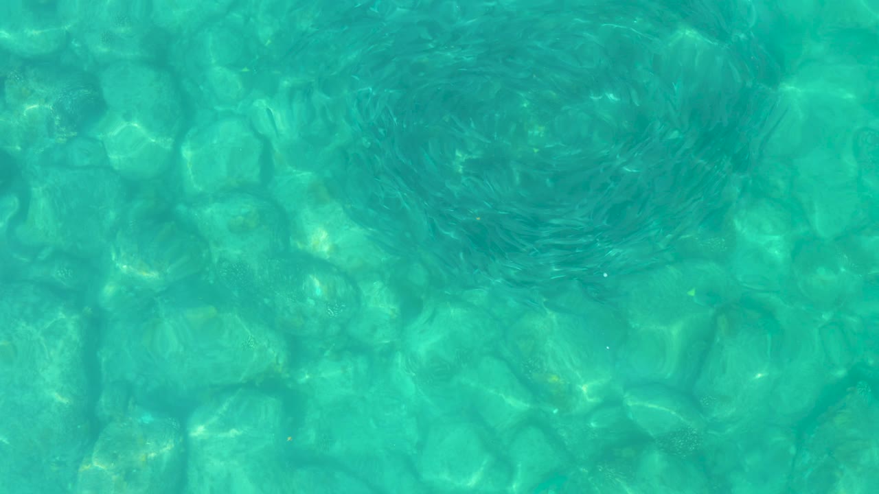 Turquoise pool water with visible tile pattern and circular surface ripples.