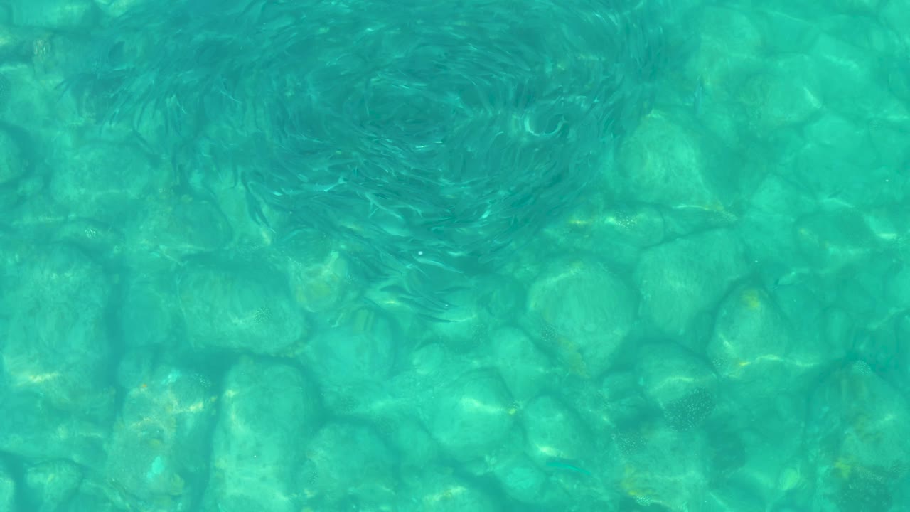 At 0:00, a dark circular school of small fish sits under clear turquoise water above a rocky bottom in Los Frailes, Baja California Sur, with no visible people.