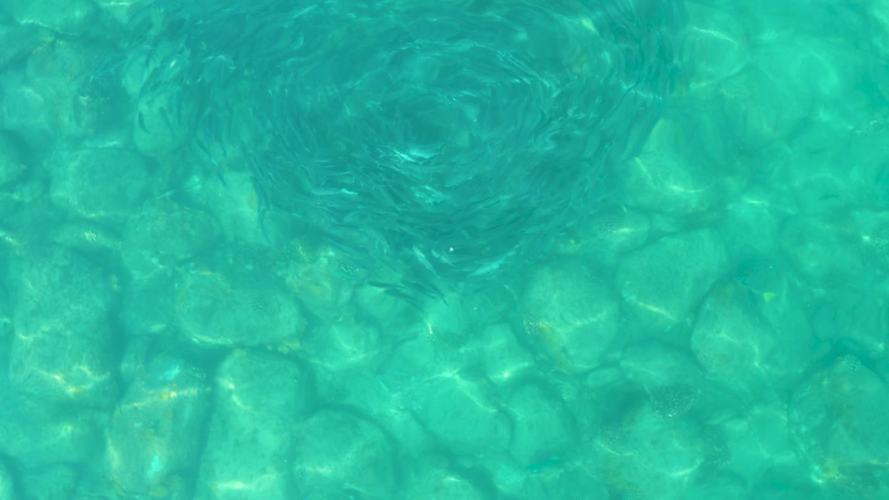 At 0:02, the small fish form a dense circular pattern over shallow rocks in blue-green Los Frailes water, with bright caustic light and no visible people.