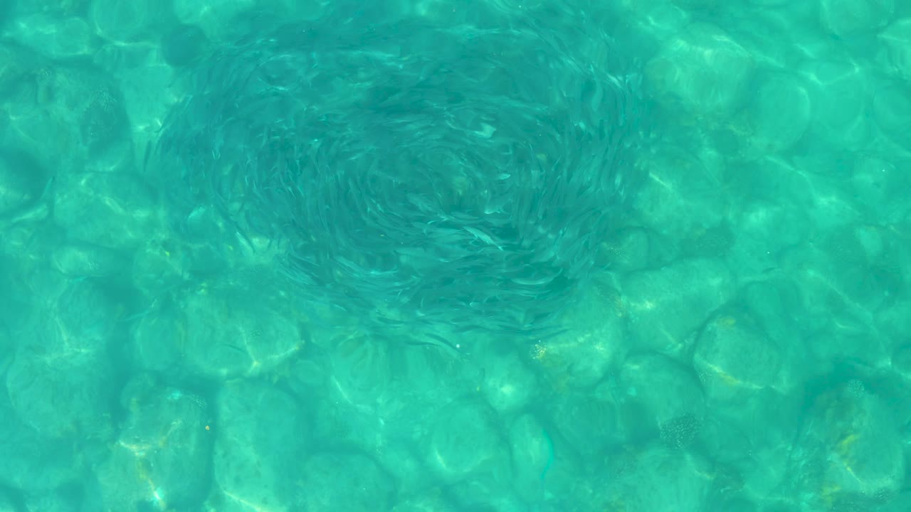 At 0:02, the circular school remains near the upper portion of the frame while the turquoise water reveals uneven rounded rocks beneath in Los Frailes, Mexico, with no visible people.