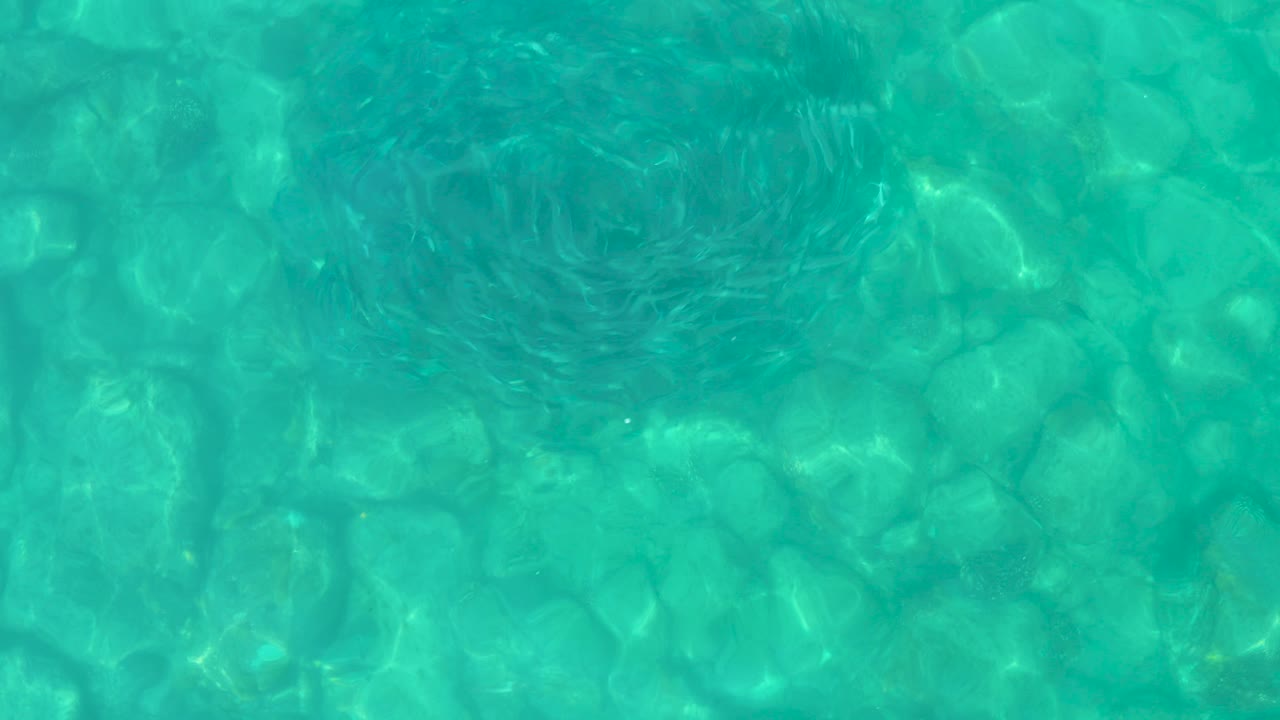 Small fish schooling in a circle over turquoise shallow water