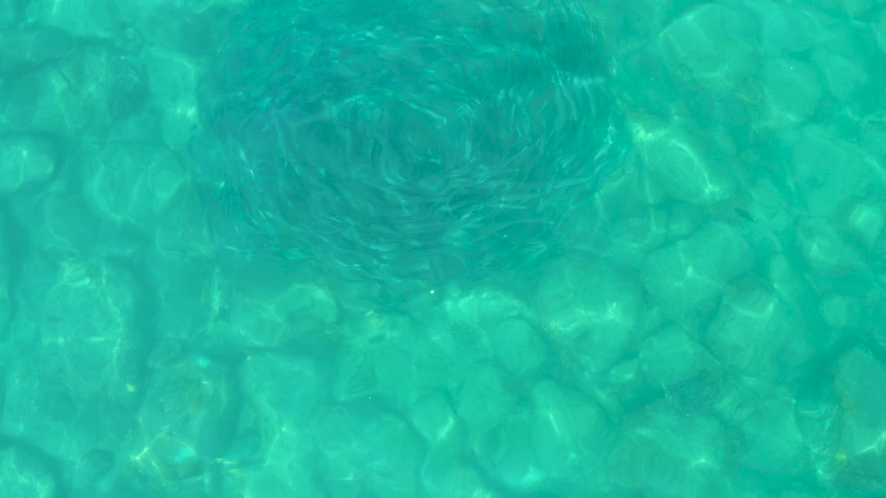 At 0:01, the small fish remain in a tight circular formation over shallow turquoise water, with the rocky bottom visible through sunlit surface ripples and no visible people.