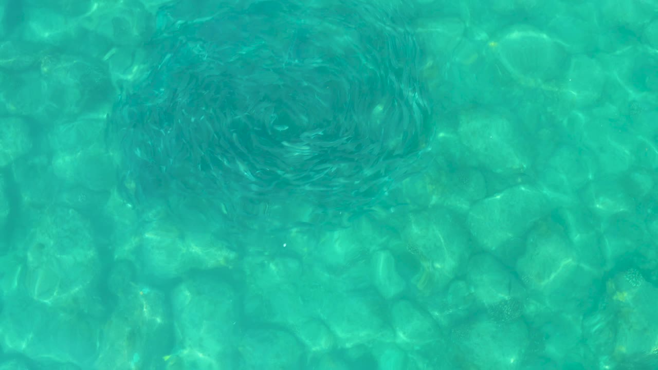 At 0:02, the school appears as a darker oval circle near the upper right area of the overhead frame, above pale rocks in clear turquoise water and no visible people.