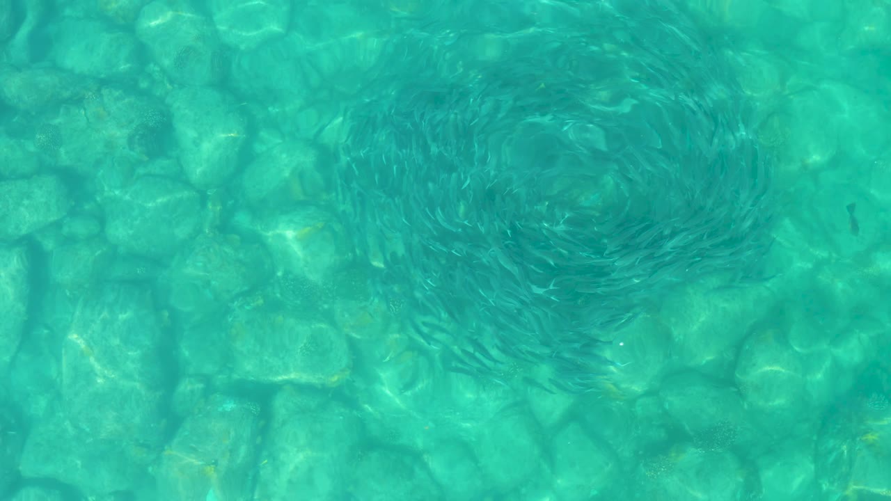 At 0:03 in Los Frailes, Baja California Sur, the dark circular fish formation appears left of center against a bright turquoise rock bed, with no visible people.