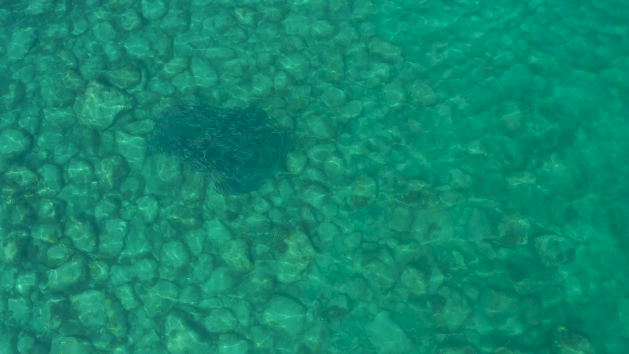 Top-down frame from Los Frailes, Los Cabos, Mexico, with pale rocks visible beneath clear turquoise water and a compact dark fish school near the upper center, no visible people.