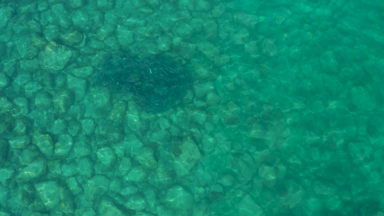 Aerial-style view in Los Frailes, Los Cabos, Mexico, showing a dark swirling fish school near the upper right over rounded rocks under clear turquoise water, no visible people.