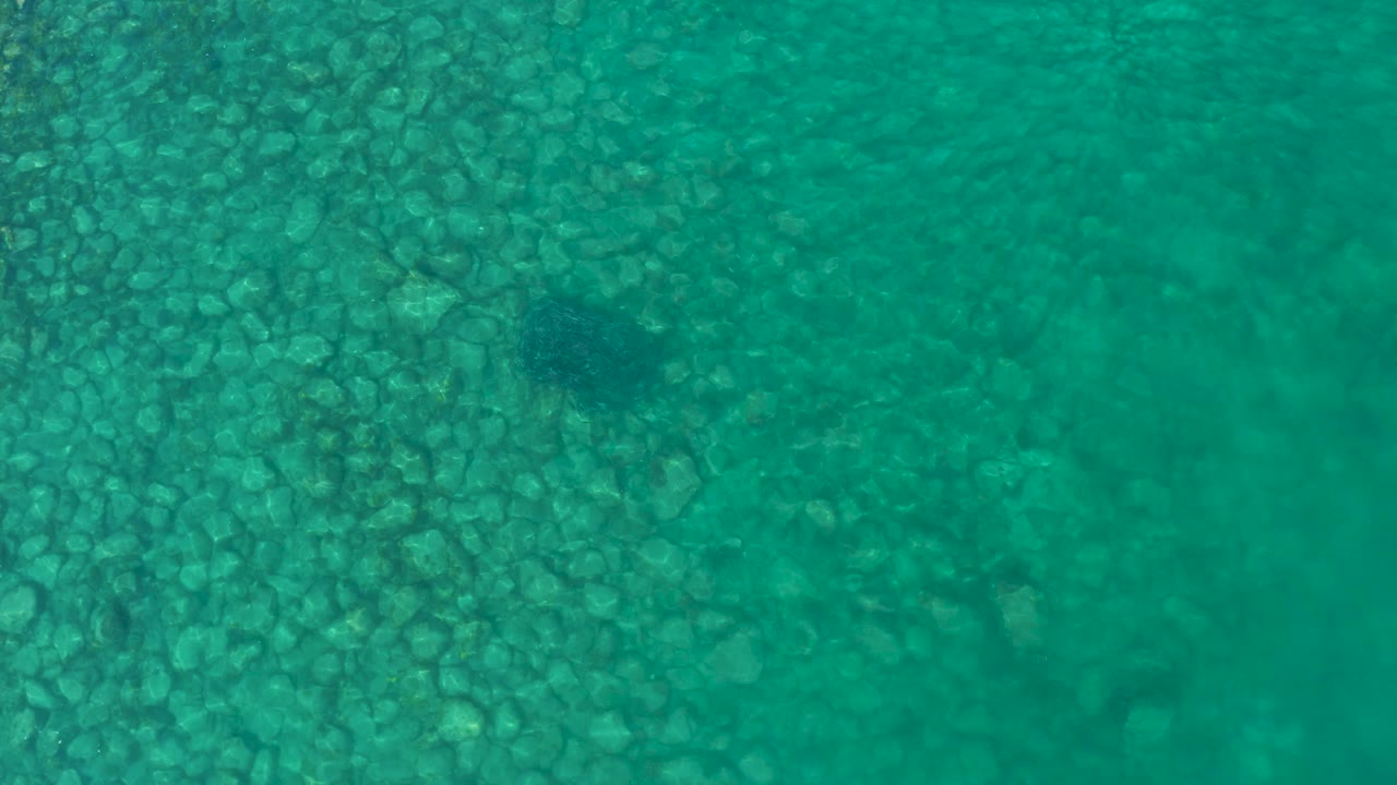 Top-down view of clear turquoise water over rocks at Los Frailes, Baja California Sur, with a dark fish shape near the upper left and no visible people.