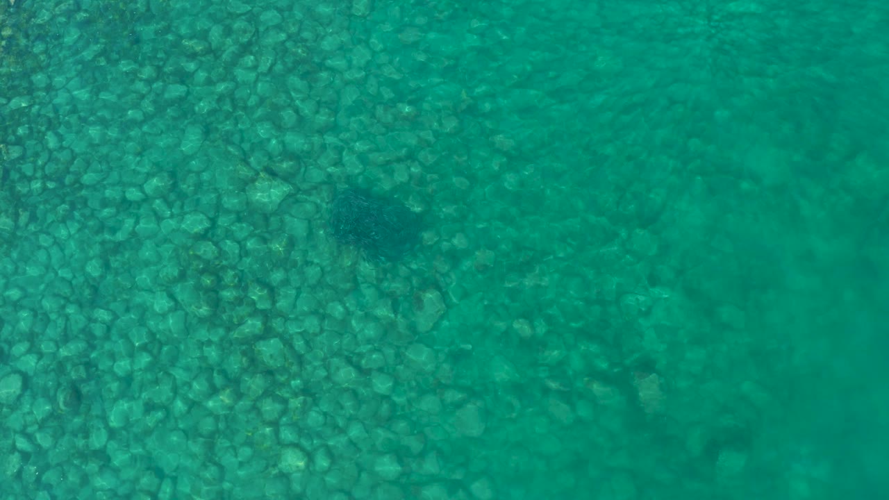 Clear overhead view at Los Frailes, Baja California Sur, where the fish sits nearer the upper center over a dense patch of rounded rocks and no visible people appear.