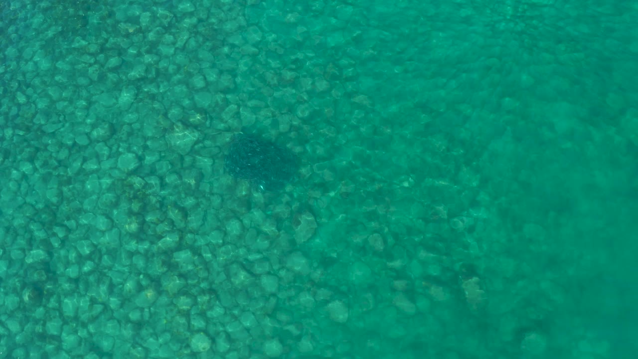 The Los Frailes underwater view shows the dark fish near the upper middle of the frame, softened by water ripples over the rocky seabed, with no visible people.