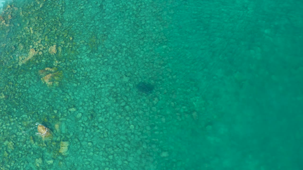 Aerial-looking frame over Los Frailes shallow water, with dense pebbles on the left, smoother turquoise water on the right, and the fish slightly lower in frame, no visible people.