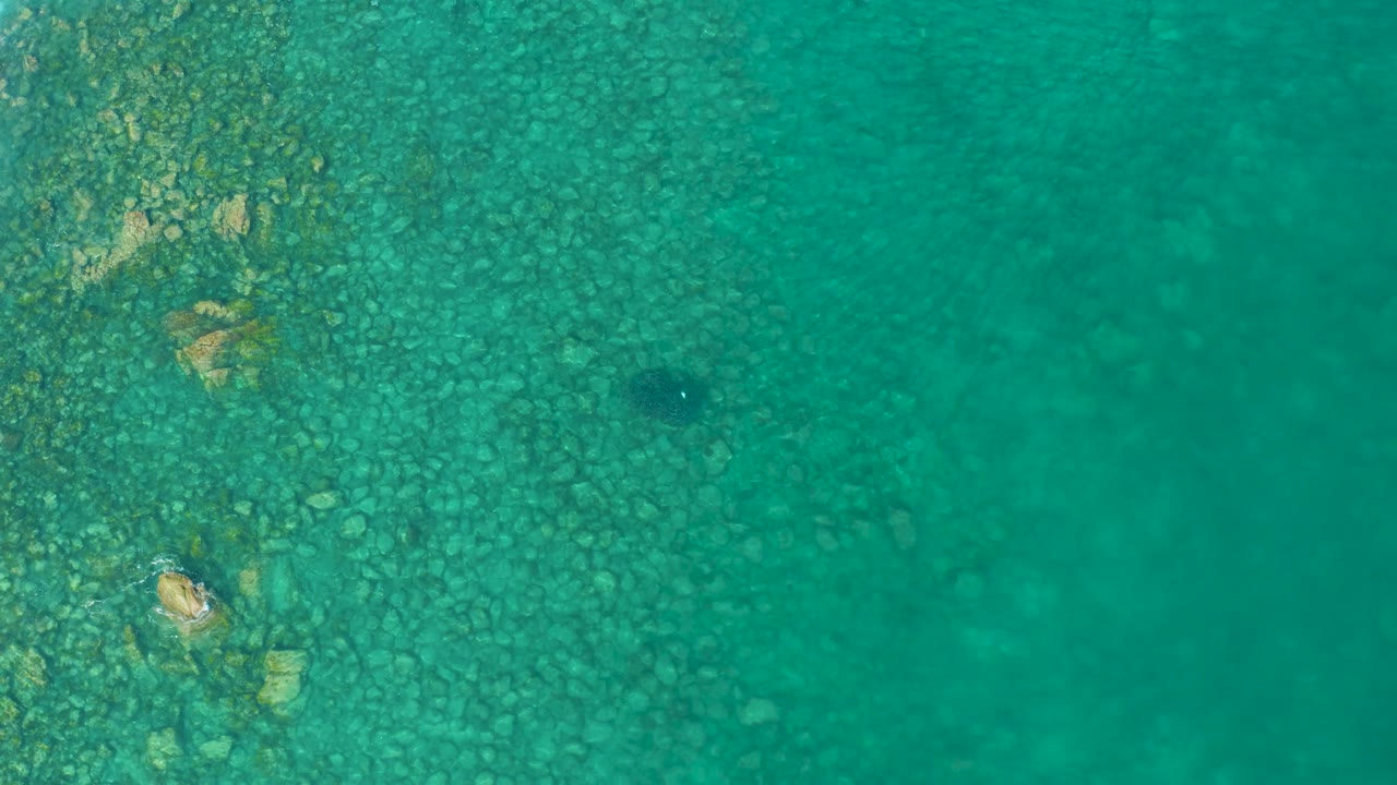 Top-down Los Frailes water detail with the rocky strip filling much of the left side, open turquoise water to the right, and a small fish near the center-right, no visible people.