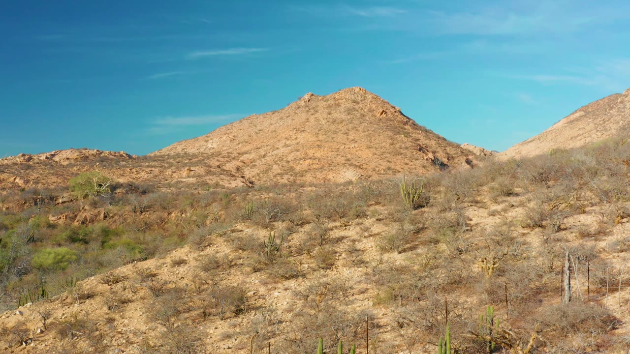 Opening frame of Cabo Pulmo desert hills with dry scrub in the foreground, scattered cacti below tan rocky slopes, blue sky above, and no visible people.