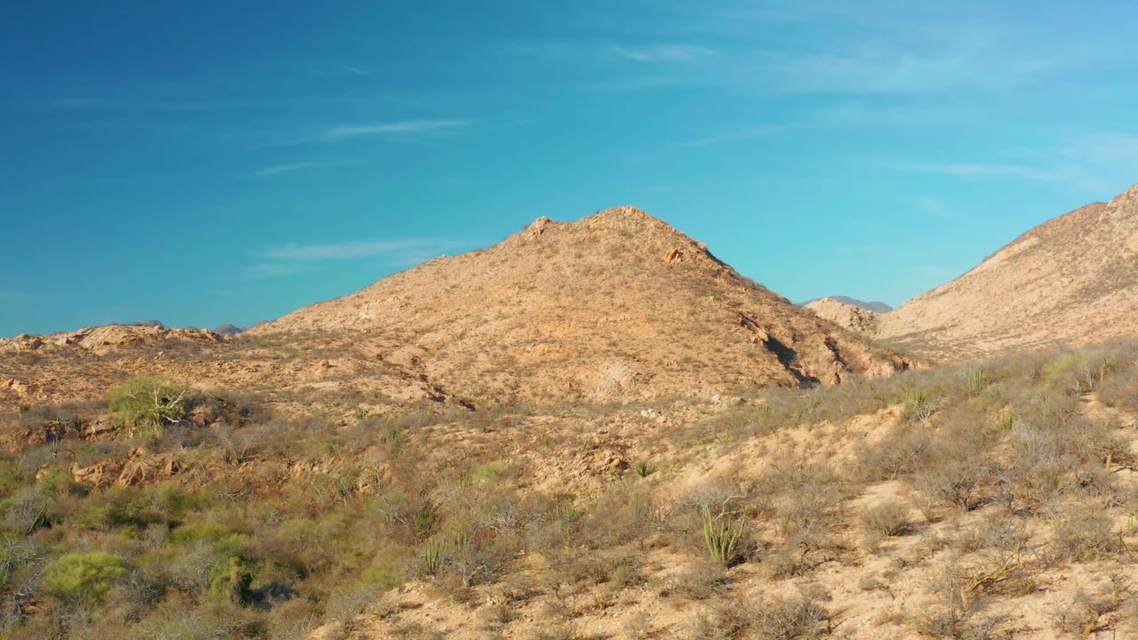 Cabo Pulmo desert view with the central rocky mound framed above dry brush, small green shrubs, and a clear blue sky with no visible people.