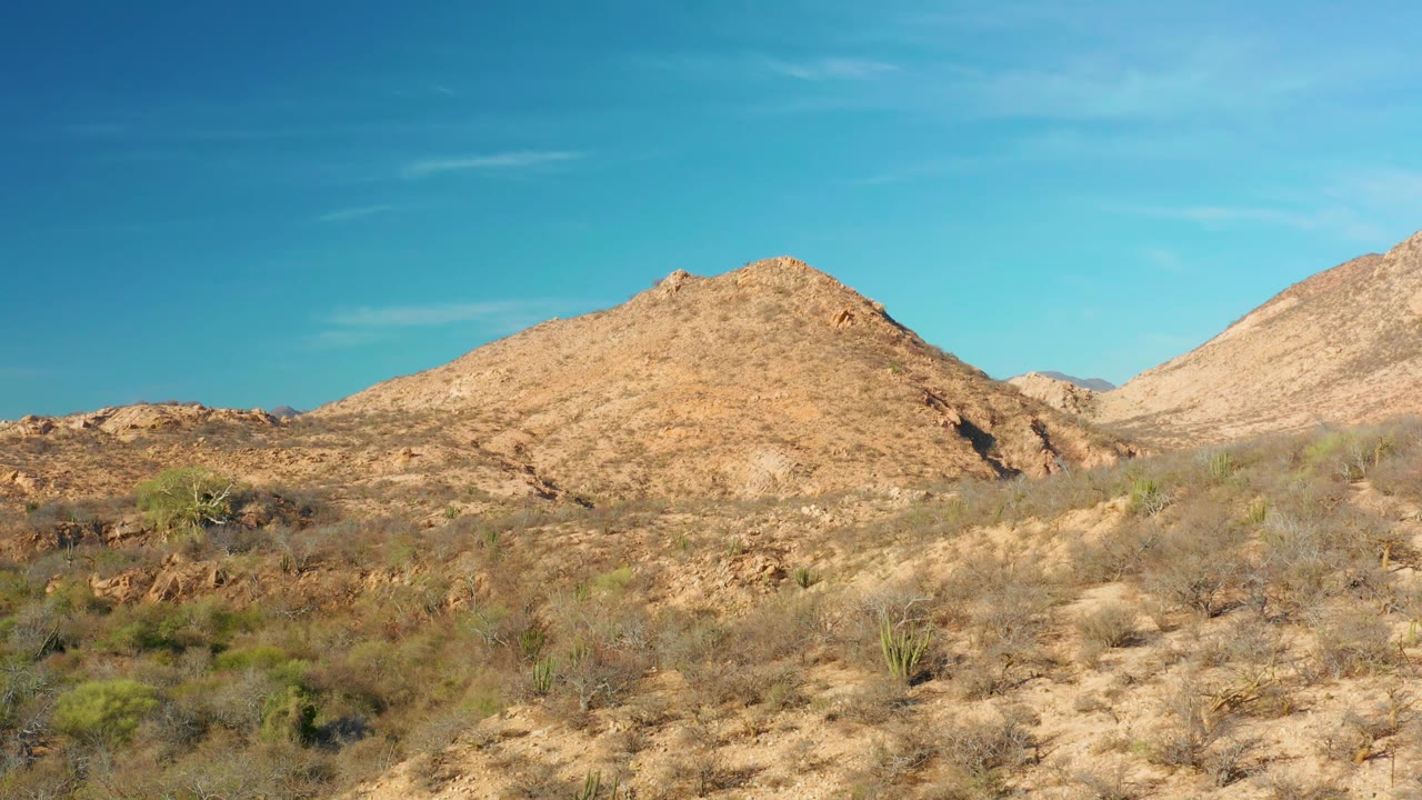 A tan rocky hill dominates the Cabo Pulmo frame, with scrubby desert plants across the foreground and a lighter hill edge at right, no visible people.