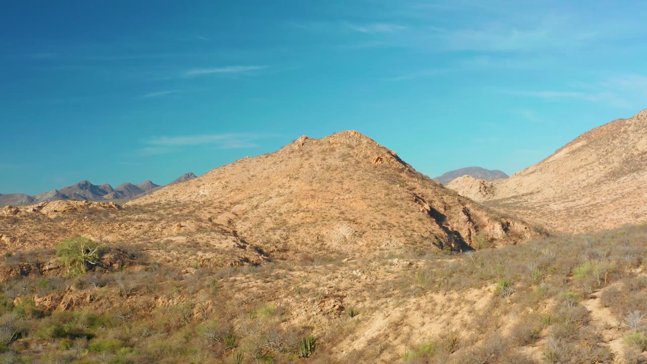 Cabo Pulmo desert frame with scrubby foreground plants, a rounded tan hill centered in view, a pale slope at right, and no visible people.