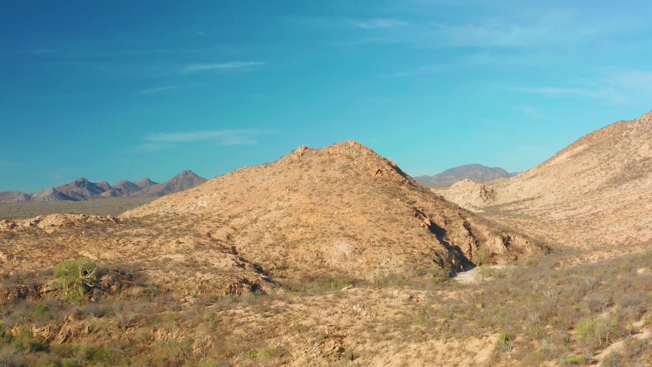 Arid hillside with cactus, brush, and mountain horizon