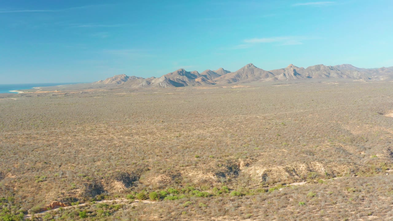 Cabo Pulmo scrubland fills the foreground and midground, with a rocky mountain ridge across the horizon and no visible people.