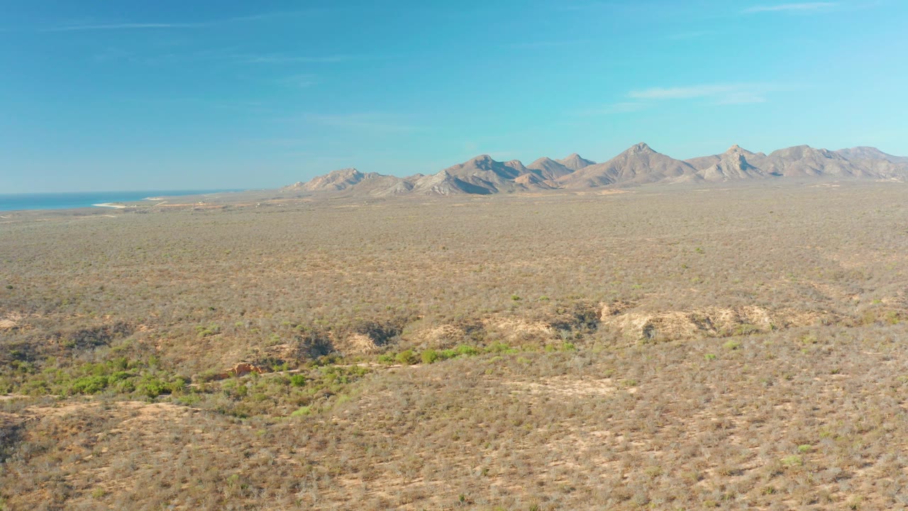 Cabo Pulmo scrubland fills the foreground and midground, with rocky rises near the bottom edge, distant mountains across the horizon, and no visible people.