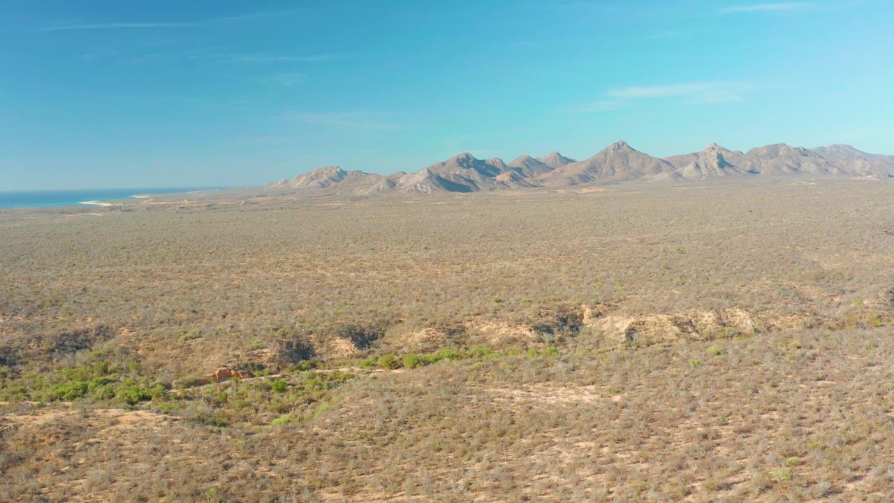 A broad Cabo Pulmo desert plain stretches toward a jagged mountain range, with low vegetation across the dry ground, blue water barely visible at left, and no visible people.