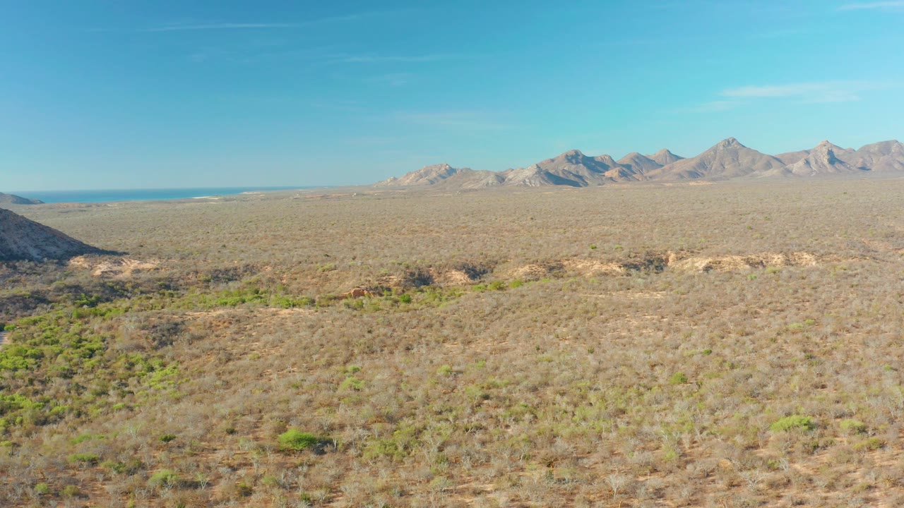 Elevated Cabo Pulmo desert view with low brush in the foreground, pale open terrain across the middle distance, mountains along the horizon, and no visible people.