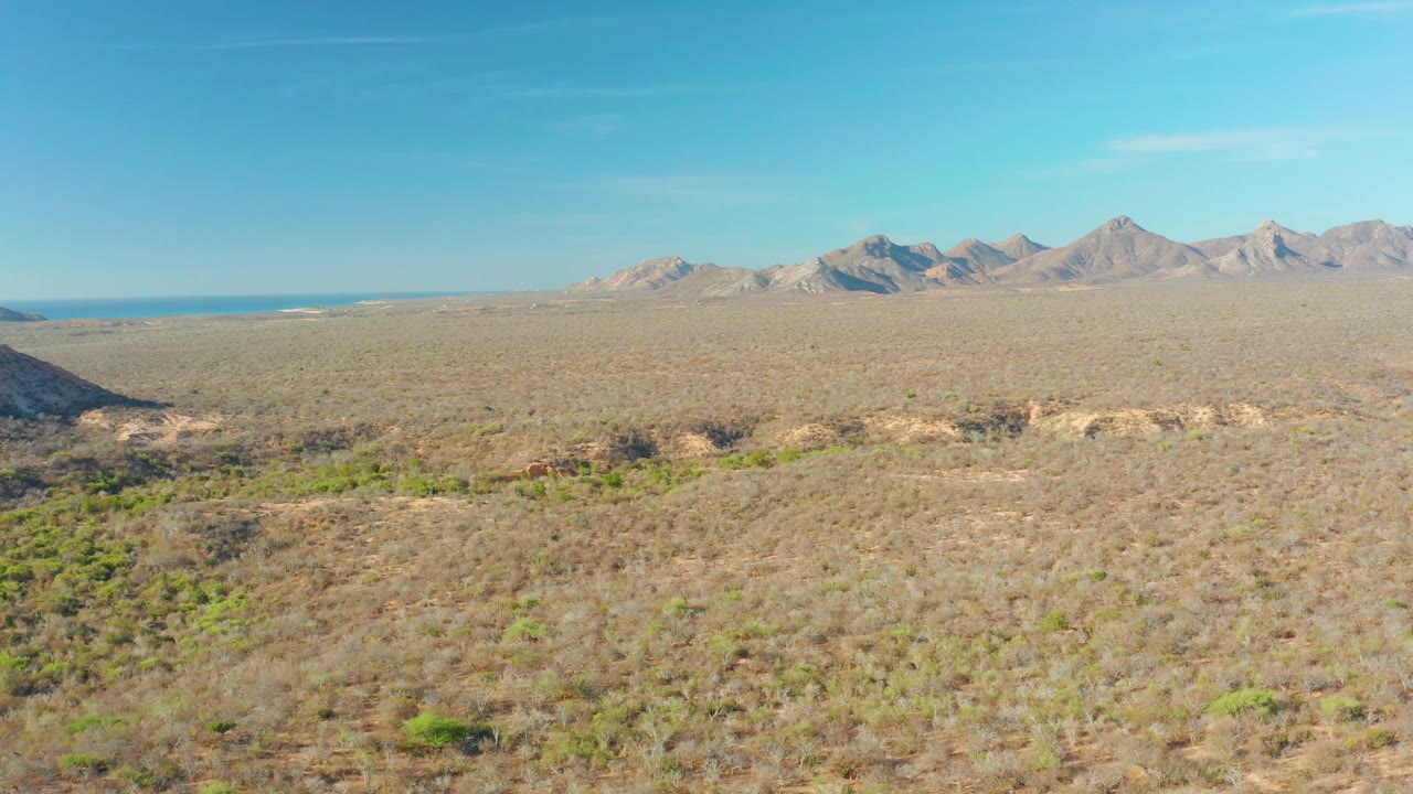 Cabo Pulmo arid plain with scattered scrub, a mountain ridge across the background, blue water visible near the left horizon, and no visible people.