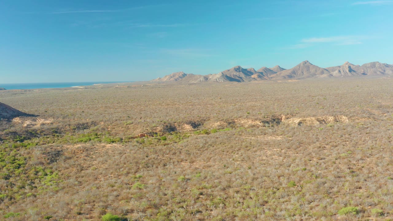 Open Cabo Pulmo desert terrain seen from above, with scrubby foreground texture, distant mountains centered on the horizon, clear blue sky, and no visible people.