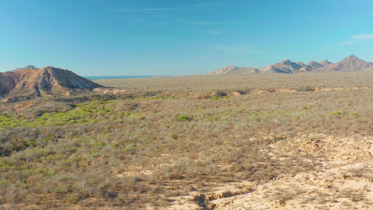 Desert scrubland with sandy foreground and mountain range in the distance