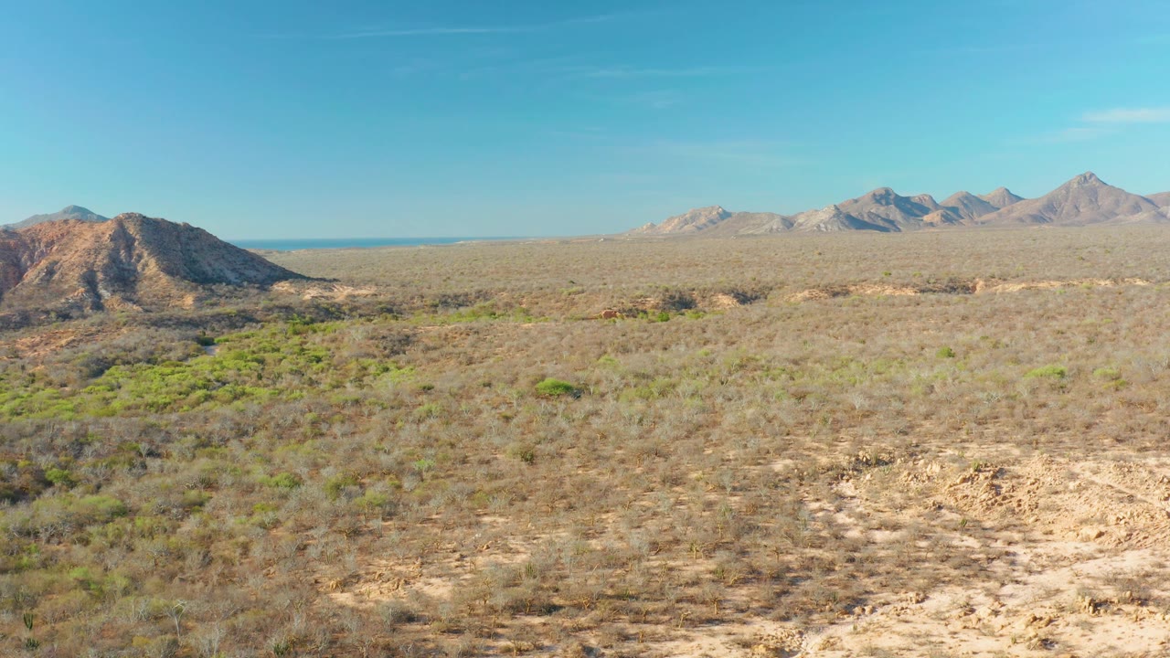 High view of Cabo Pulmo arid terrain with brush-covered ground, a low rocky hill near the left side, far mountains across the horizon, and no visible people.