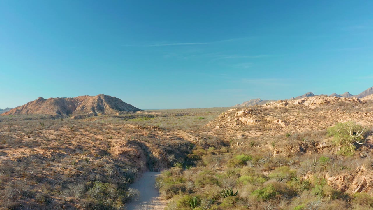 Dusty desert path between scrub and rocky hills under blue sky