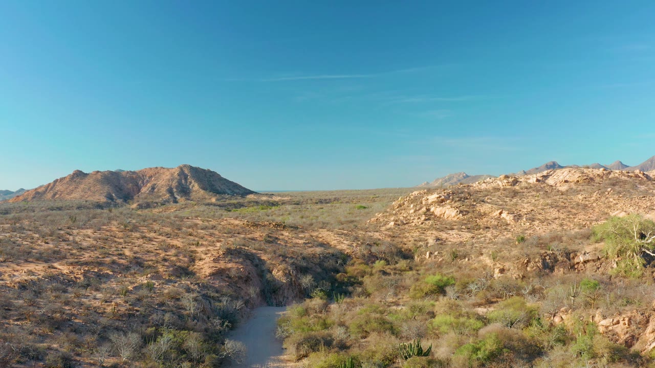 A desert trail runs through sparse green shrubs and dry ground toward rocky ridges in Cabo Pulmo, with no visible people.