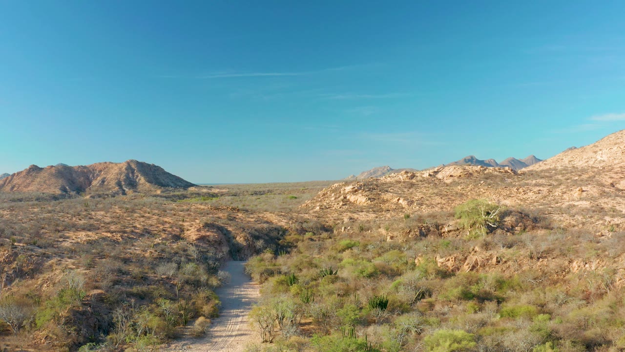 Opening view of a dirt trail crossing sparse desert vegetation in Cabo Pulmo, Baja California Sur, with low mountains under a clear blue sky and no visible people.