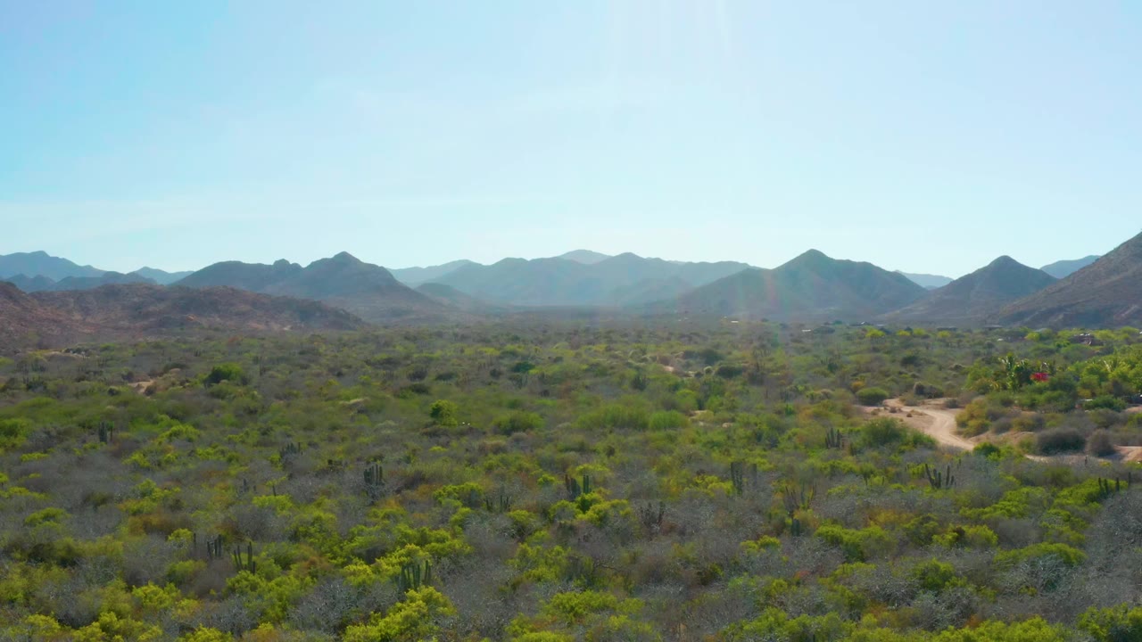 Cabo Pulmo desert vegetation fills the foreground, a light dirt path curves through the midground, mountains sit on the horizon, and no visible people appear.