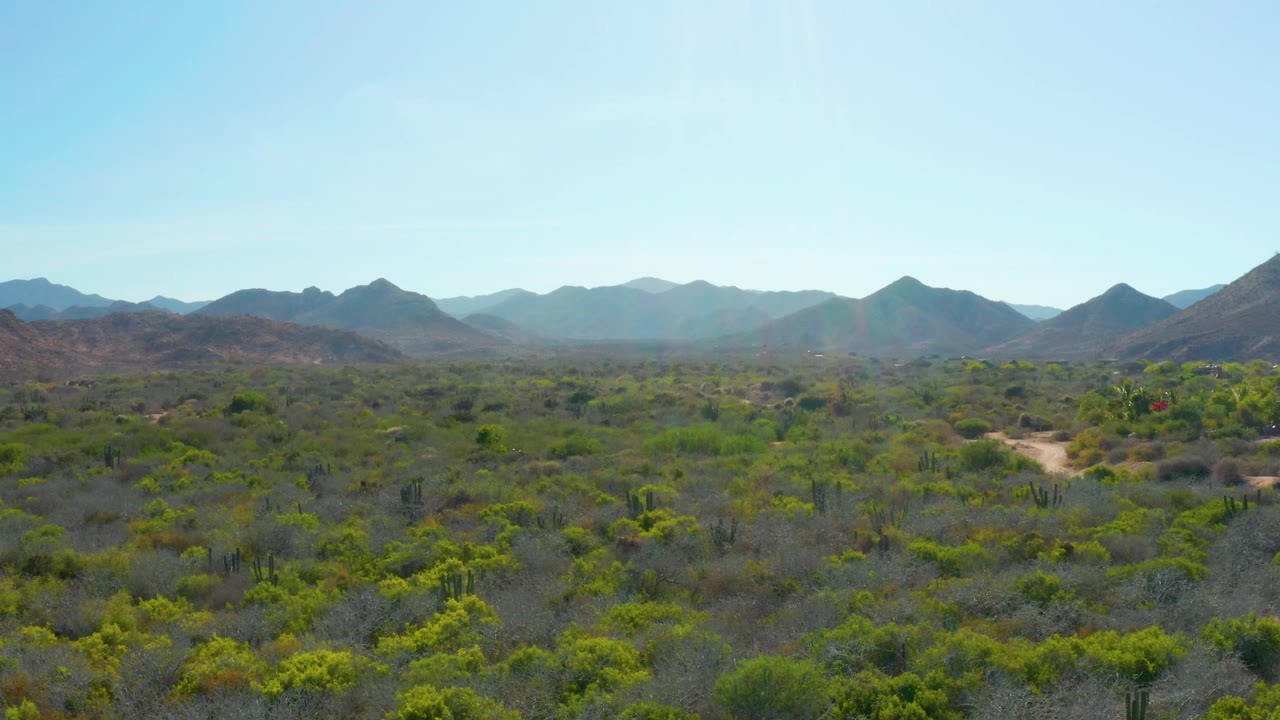 Cabo Pulmo desert plain stretches toward hazy mountain ridges, with low shrubs, cactus silhouettes, a faint dirt track, and no visible people.