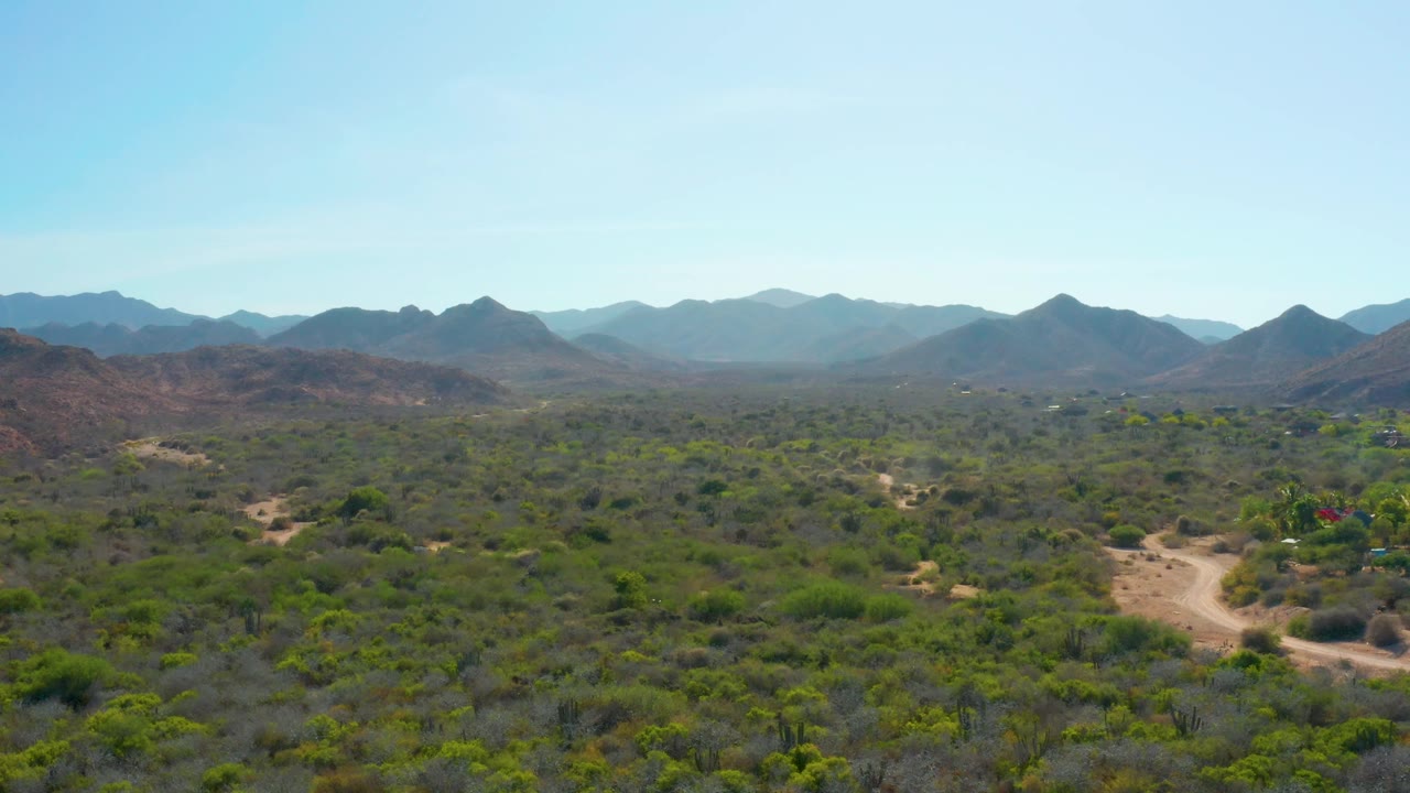 Desert valley with green shrubs and mountain range under clear sky