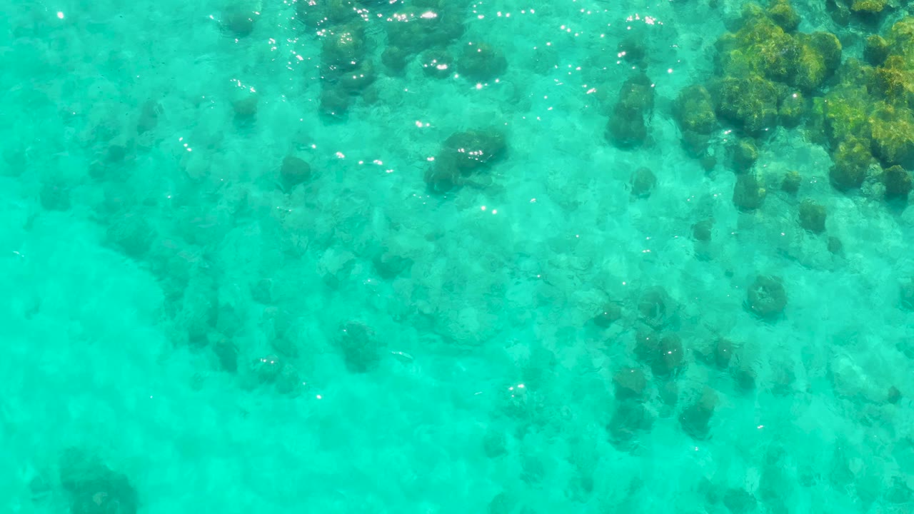 Overhead frame of Cabo Pulmo shallows with scattered submerged rocks, brighter turquoise water, and no visible people.