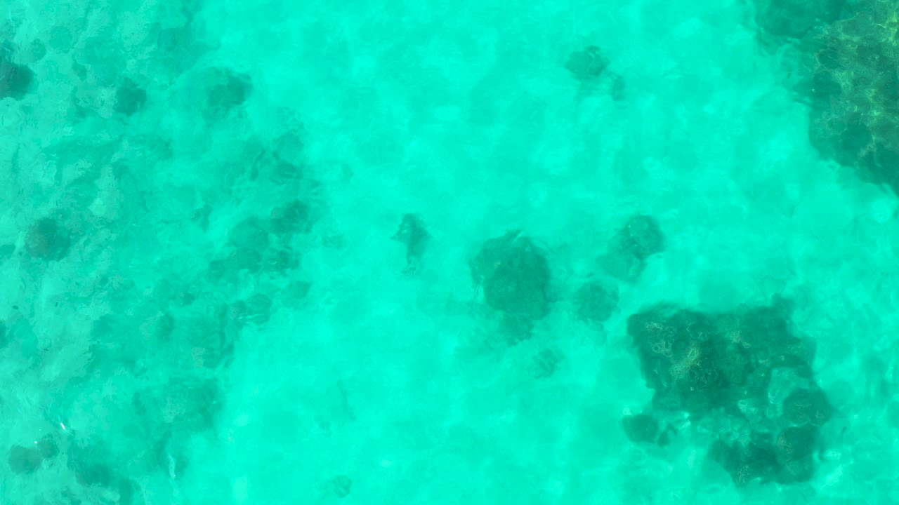 Overhead view of clear turquoise water in Cabo Pulmo with dark seabed patches and no visible people at the start of the clip.