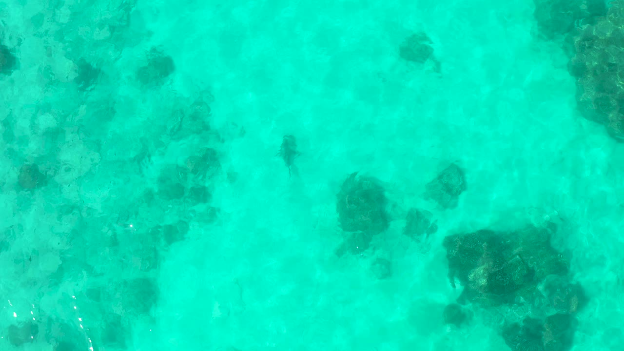 Top-down view of turquoise Cabo Pulmo water with a small dark fish-like shape near scattered seabed patches and no visible people.