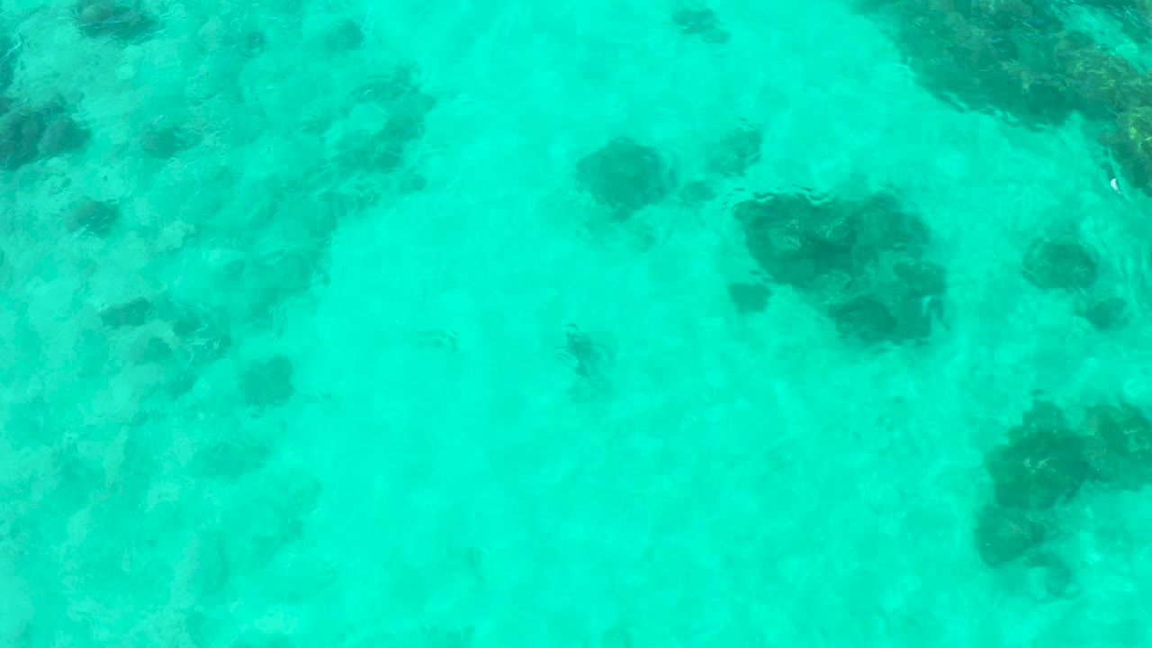 Straight-down view of clear turquoise water in Cabo Pulmo with dark submerged rock and coral patches near the upper and center areas, no visible people.