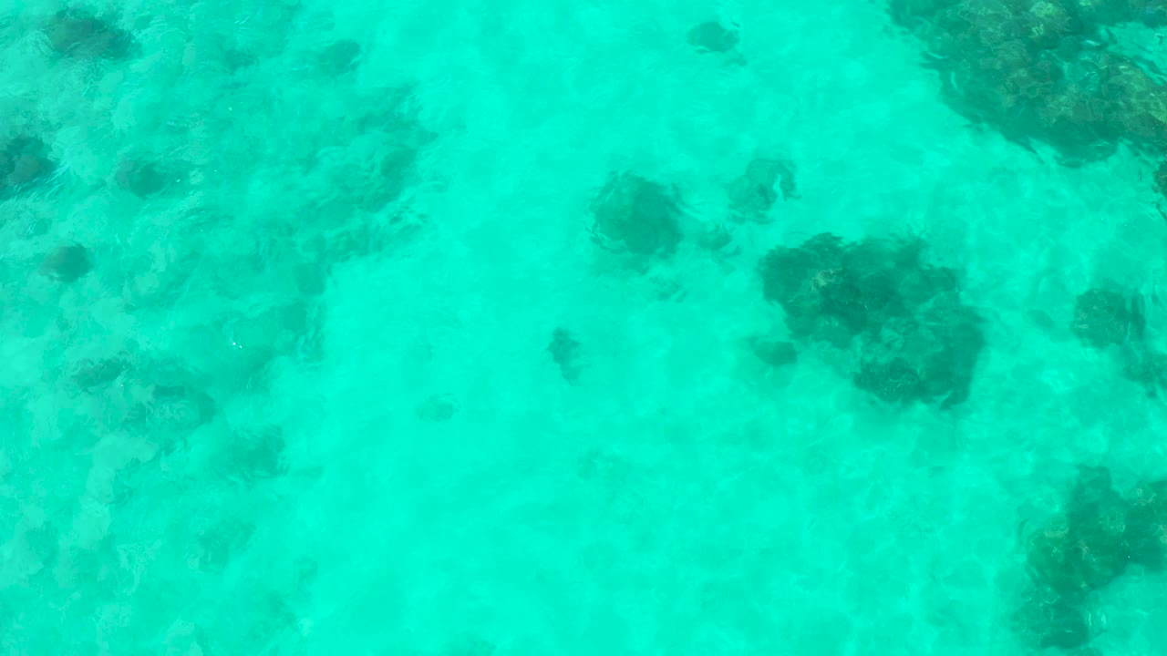 Turquoise ocean surface with underwater rocks visible below.