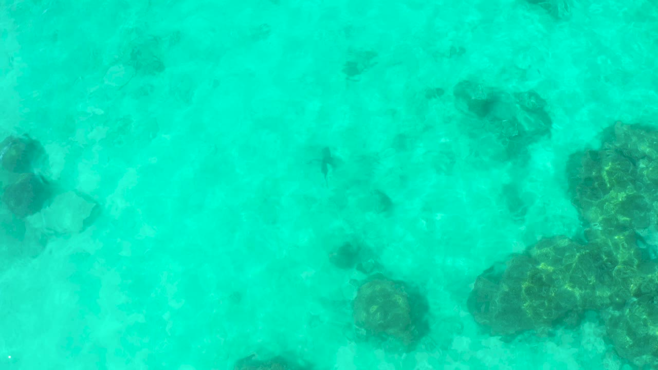 Overhead frame of clear turquoise water in Cabo Pulmo with dark submerged rocks visible beneath ripples and no visible people.